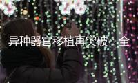 异种器官移植再突破：全球第三例基因编辑猪肾移植人体｜周一健