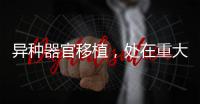 异种器官移植，处在重大突破边缘