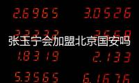 张玉宁会加盟北京国安吗
