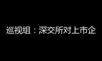 巡视组
：深交所对上市企监管不力