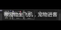 带宠物坐飞机，宠物进客舱服务有哪些要求�？