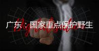 广东�：国家重点保护野生动植物物种数量呈扩大态势
