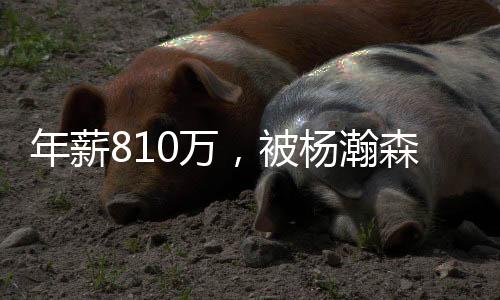 也许还能打到季后赛