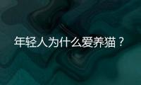 年轻人为什么爱养猫？