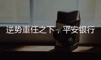 逆势重任之下，平安银行大变阵
，业绩能否再提振
？｜透视金融业年报①