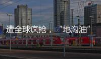 遭全球疯抢，“地沟油”变“黄金油”