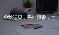 金秋送爽	，丹桂飘香	，牡丹水漆发货湖南郴州