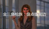 金三角枪族：盘点缅甸边境的自制武器