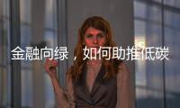 金融向绿，如何助推低碳经济破浪前行｜2024企业双碳行动力调研