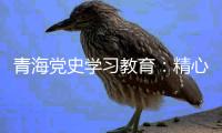 青海党史学习教育�：精心谋划确保有特色 挖掘红色资源“活教材”