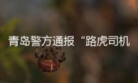 青岛警方通报“路虎司机逆行辱骂打人”案件情况