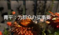 青平：为群众办实事要“踩准步点”