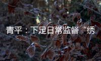 青平：下足日常监督“绣花”功夫