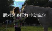 面对经济压力 电动车企业要坚持自我