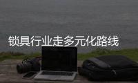 锁具行业走多元化路线 需小心规避风险