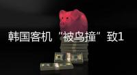 韩国客机“被鸟撞”致179死
，飞机和飞鸟之间有几道防线？丨漫热点