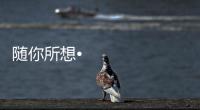 随你所想•体验未来丨海信照明系统	
，照亮你的生活