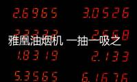 雅凰油烟机 一抽一吸之间彰显生活品味