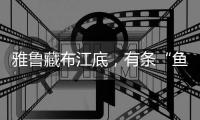 雅鲁藏布江底，有条“鱼”在凝望沙的迁徙