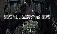 快排公司十年历程，霸屏兔 seo 的崛起与坚守