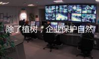 除了植树，企业保护自然的故事还能怎么讲？