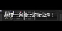 荔枝一条街 现摘现选！斗门荔枝旅游文化嘉年华等你来