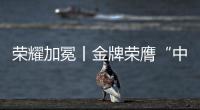 荣耀加冕丨金牌荣膺“中国十大电缆品牌”，匠心铸就行业辉煌