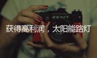 获得高利润
，太阳能路灯企业需要什么商业技能?