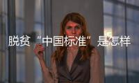 脱贫“中国标准”是怎样制定的�？ 下一步怎么走？