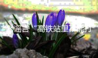 老谣言“高铁站里不能打伞”又上热搜	？其实更需注意时刻与电网保持安全距离丨硬核唠科