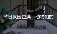 节日氛围拉满！动物们的专属“月饼”都是什么馅的？