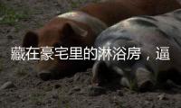 藏在豪宅里的淋浴房
�，逼格简直不要太高……