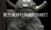 警方通报村民撞到狗被打�：5名嫌疑人到案 犬主曾任村干部