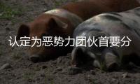 认定为恶势力团伙首要分子
！95岁离休干部获刑五年