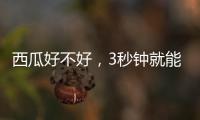 西瓜好不好，3秒钟就能验
！验瓜师有啥技巧？