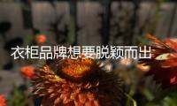 衣柜品牌想要脱颖而出 需修炼内功