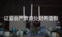 证监会严肃查处财务造假案件�，首次对配合造假方同步追责
