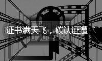 证书满天飞�，碳认证遭“大扫除”