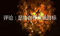 评论：足协自荐系统目标需更加明确