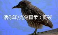 话你知/光储直柔：低碳建筑秘籍