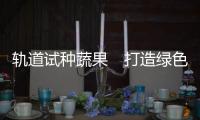 轨道试种蔬果　打造绿色天宫