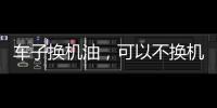 车子换机油
，可以不换机油滤芯吗?有什么后果和危害
