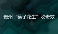 贵州“筷子花生”收奇效 曲波一脚踢飞了3000万	？
