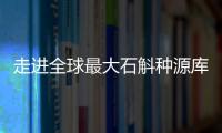 走进全球最大石斛种源库
：探索野生石斛种质资源异地保护