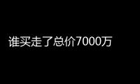 谁买走了总价7000万元以上的豪宅？