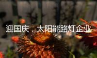 迎国庆	，太阳能路灯企业忙业绩同时要保证品质