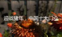 迎战猪年	，中国十大门业品牌深耕精众圈子