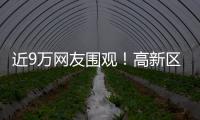 近9万网友围观！高新区这场自然与文明的“云约会”太赞了