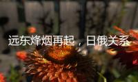 远东烽烟再起，日俄关系为何再度紧张？丨智库视点