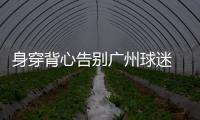 快排公司十年历程，霸屏兔 seo 的崛起与坚守